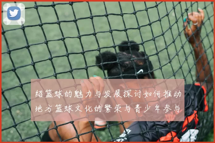 绍篮球的魅力与发展探讨如何推动地方篮球文化的繁荣与青少年参与