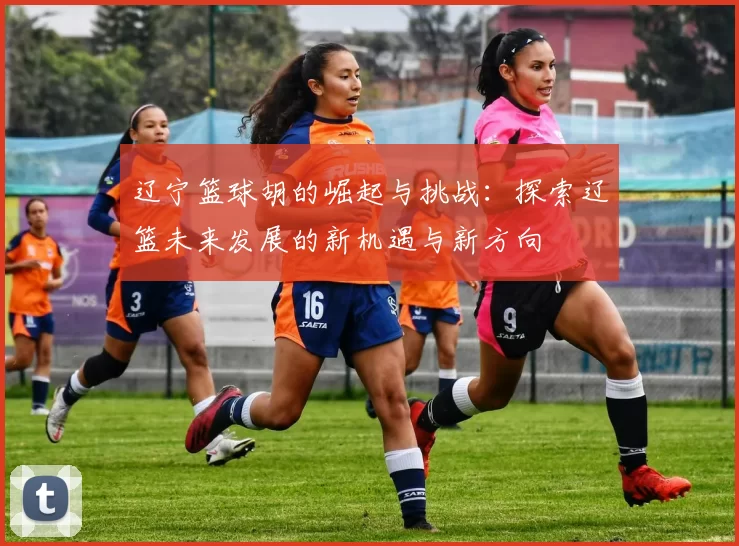 辽宁篮球胡的崛起与挑战：探索辽篮未来发展的新机遇与新方向