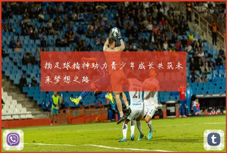 扬足球精神助力青少年成长共筑未来梦想之路